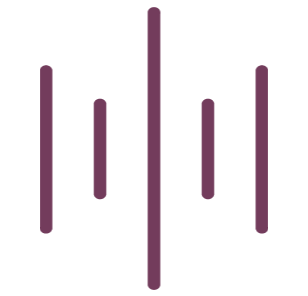 icono4