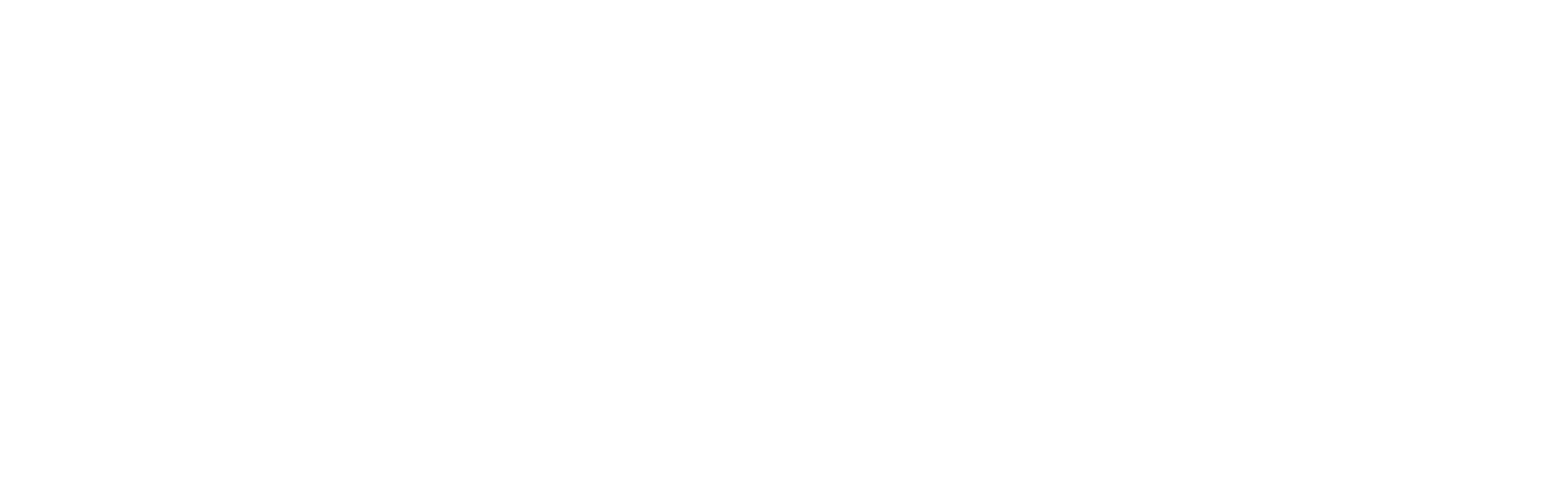masterclass_on_logos_Customer Centricity_blanco
