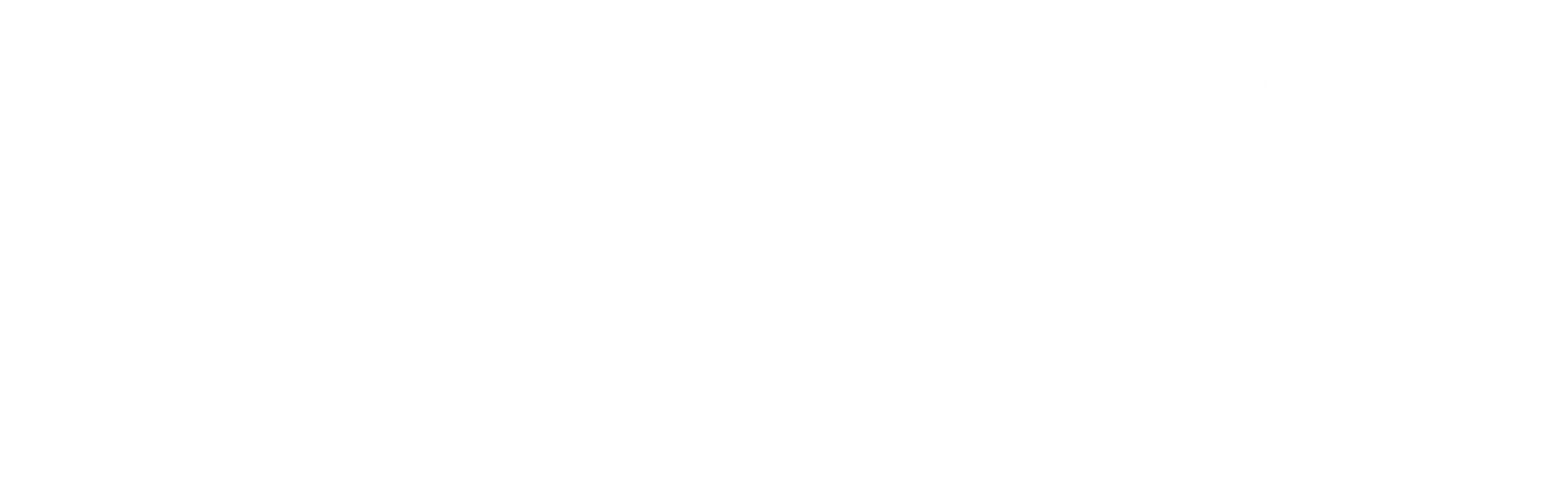 masterclass_on_logos_Customer Experience Strategy_blanco