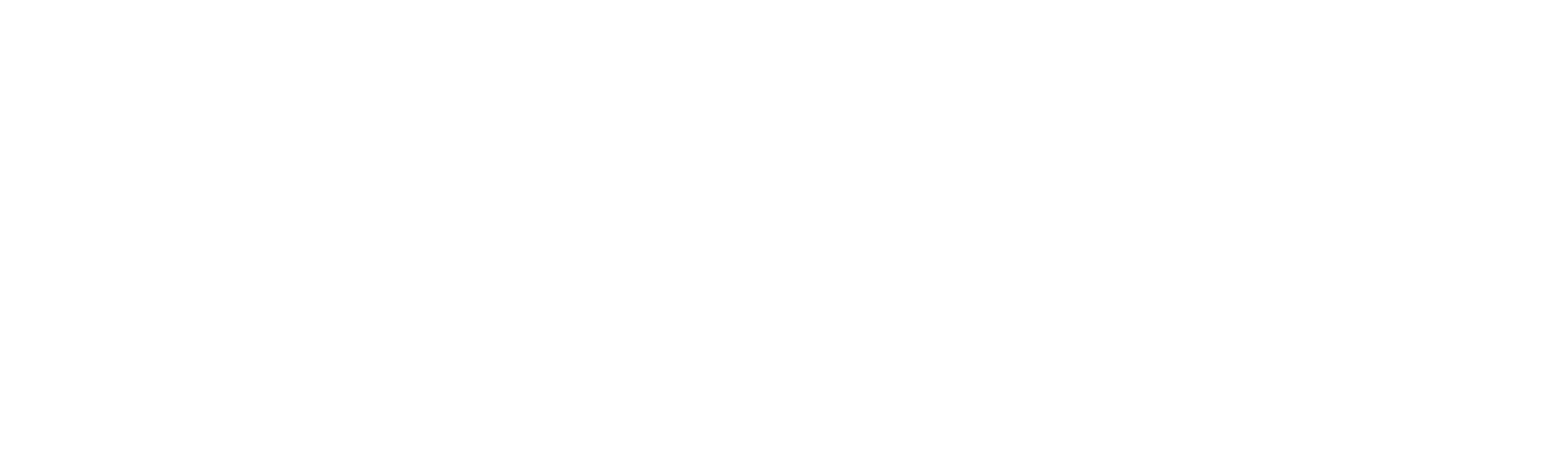 __leading_transformation_white (1)